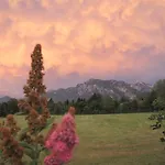 Ferienbungalow Schlossblick Appartement Füssen