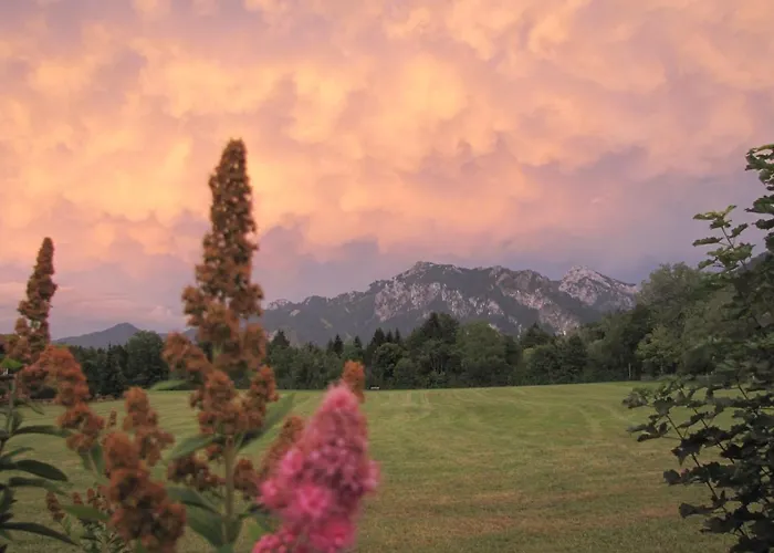 Ferienbungalow Schlossblick 아파트 Füssen